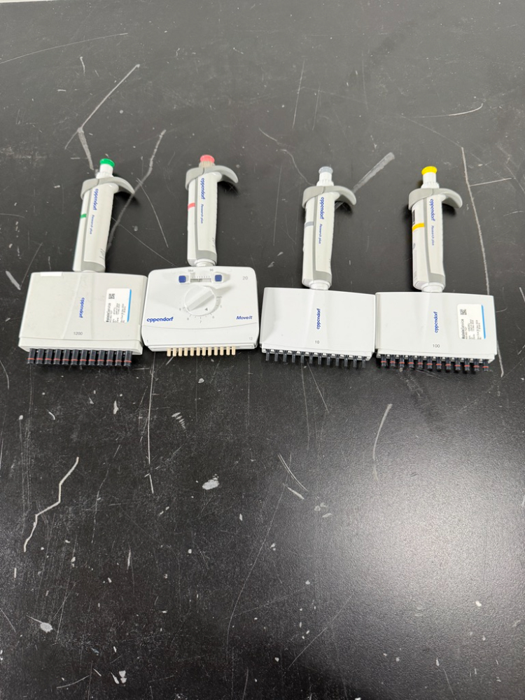 Image of Eppendorf Research Plus Multichannel Pipettes - Quantity 4